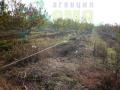 Овощна градина, Стара Загора, Калитиново - снимка 2