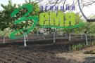 1 - етажна къща, Стара Загора, Могила - снимка 5