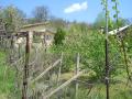 ПИ, Стара Загора, Ново село - снимка 7