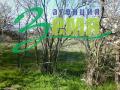 1 - етажна къща, Стара Загора, Памукчии - снимка 4