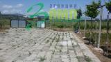 ПИ, Стара Загора, Богомилово - снимка 4